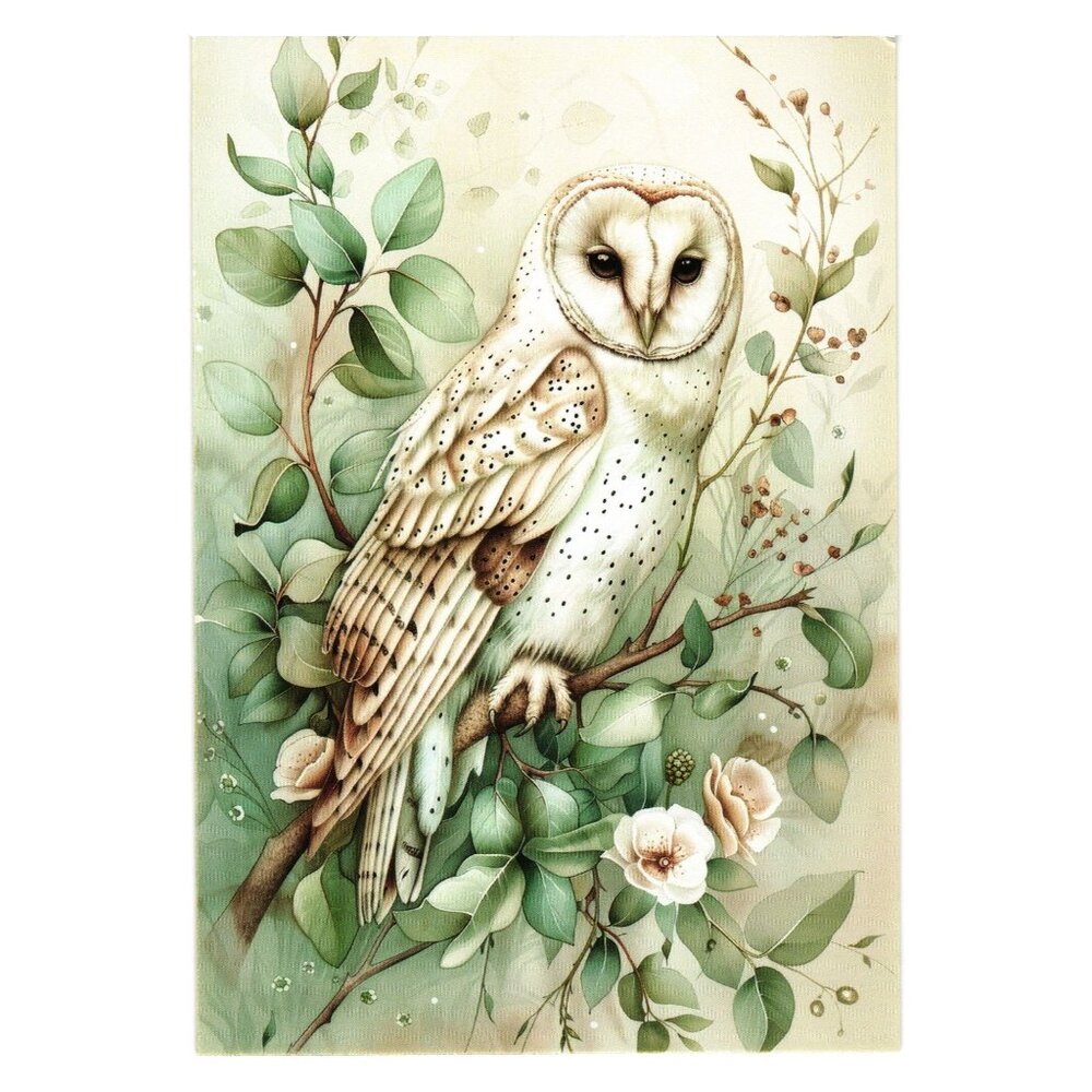 Barn Owl On Branch Art Card Spring Botanical Floral Print Postcard Bird Gift